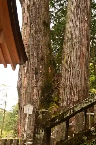 榛名神社(群馬県)