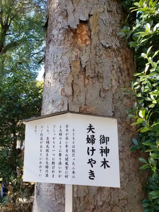 阿佐ヶ谷神明宮(東京都)