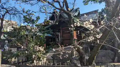 菅大臣神社(京都府)