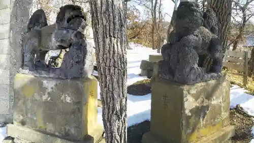 黄金神社の狛犬