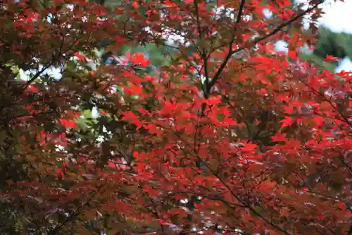 豊景神社の庭園