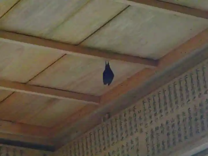 津島神社の動物