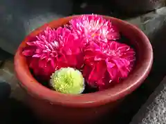 菅生神社の手水