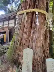 石山寺の自然