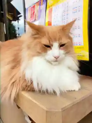 駒込妙義神社(東京都)