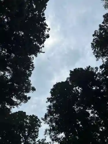 大宮温泉神社(栃木県)