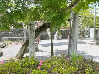 八幡神社(岐阜県)