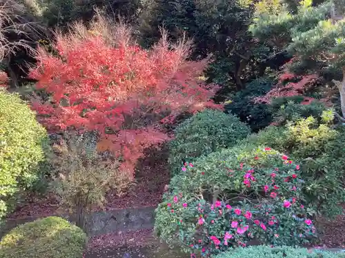 天嶽院(神奈川県)