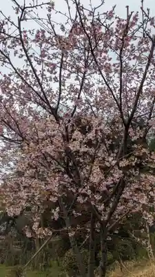 荏柄八幡社(東京都)