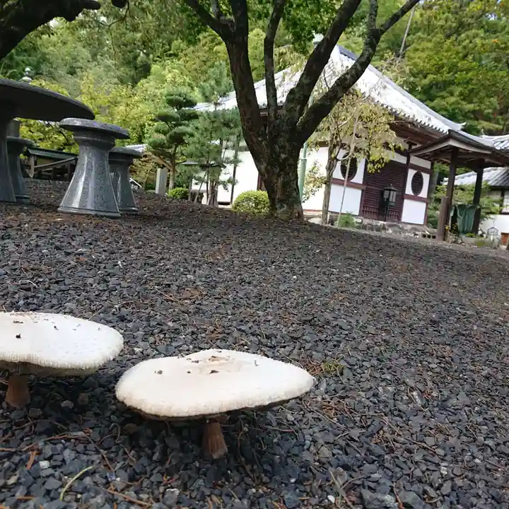 観福寺(和歌山県)