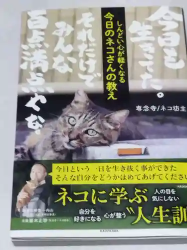 如願寺(大阪府)