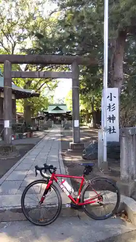 小杉神社の鳥居