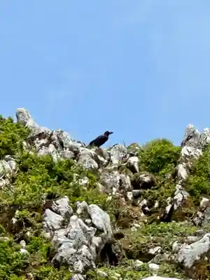 伊吹山（霊峰）(滋賀県)