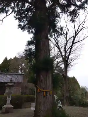 神明社(石川県)