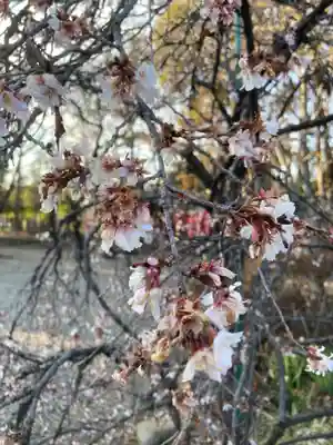 倉賀野神社(群馬県)