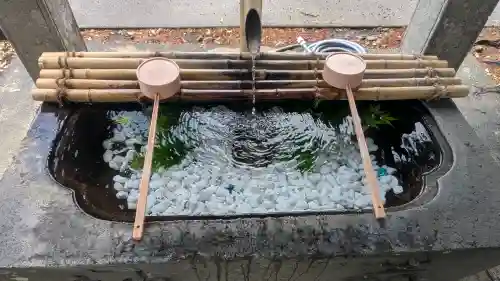 平出雷電神社(栃木県)