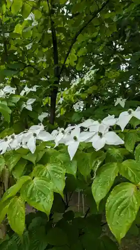 音更神社の自然