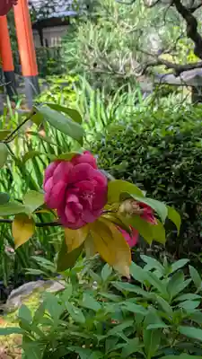 宝蔵寺(京都府)