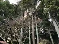 大宮温泉神社の自然
