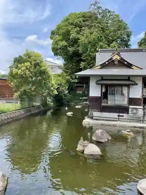 白蛇辨財天(栃木県)