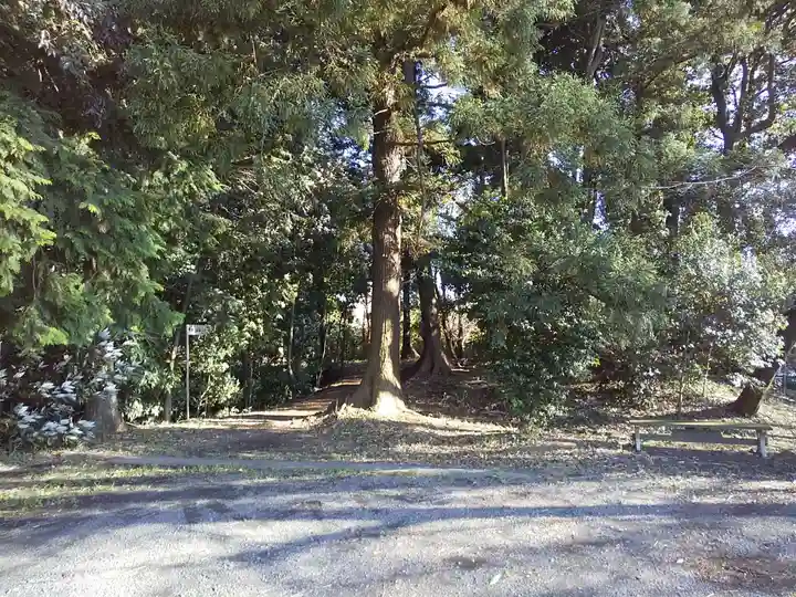 梅宮神社の自然