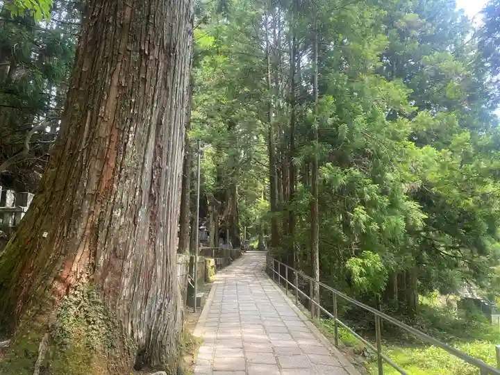 高野山金剛峯寺奥の院(和歌山県)
