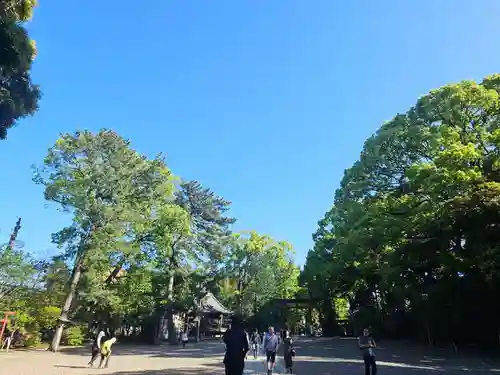 武蔵一宮氷川神社(埼玉県)