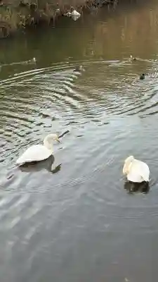 常陸二ノ宮 静神社(茨城県)