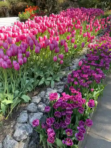 江島神社(神奈川県)