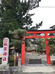 浜松秋葉神社の鳥居