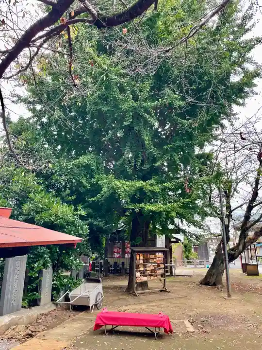 鶴峯八幡宮(茨城県)