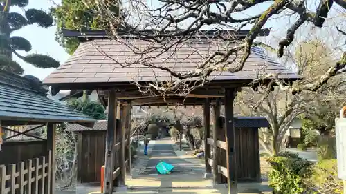 地蔵院(東京都)