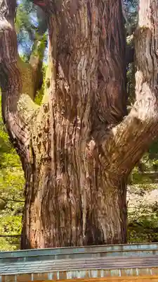 若狭姫神社（若狭彦神社下社）(福井県)