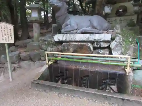 春日大社の手水舎