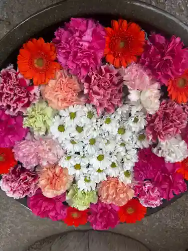 山﨑八幡宮(山口県)