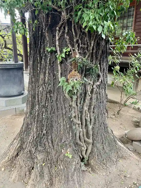 正徳寺(東京都)