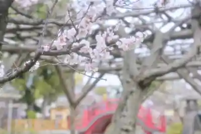 亀戸天神社(東京都)