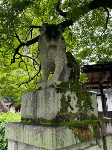 松尾大社(京都府)