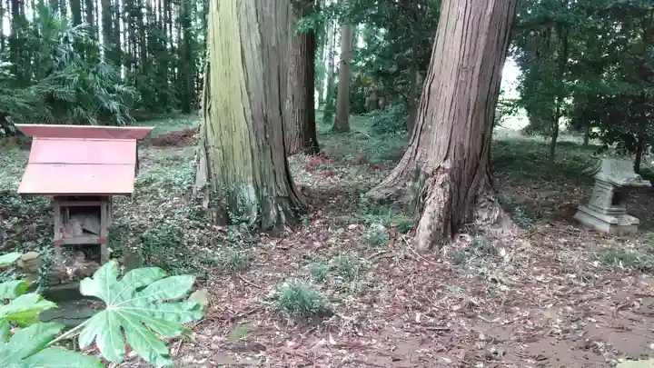 手子后神社の自然