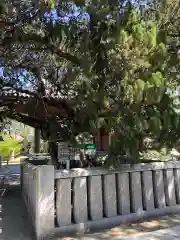 高砂神社の自然