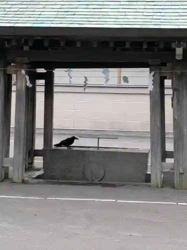 亀田八幡宮(北海道)