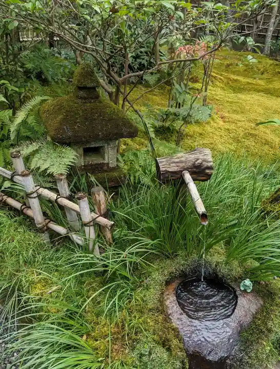 祇王寺(京都府)