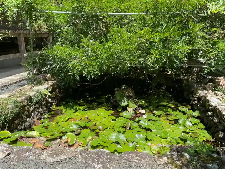 明石寺(愛媛県)