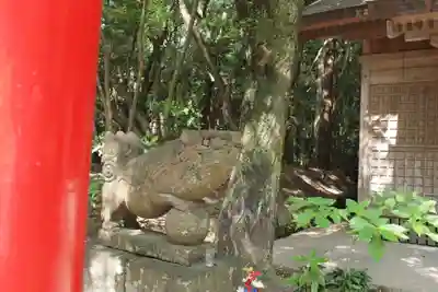 宮崎神宮の狛犬