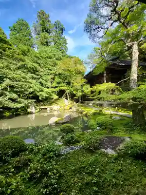 蓮華寺（洛北蓮華寺）(京都府)