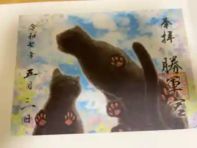 猫さんが可愛い