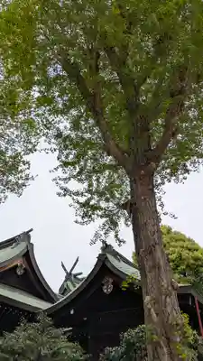 伴林氏神社(大阪府)
