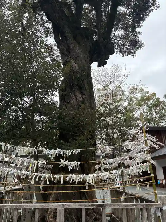井伊谷宮(静岡県)