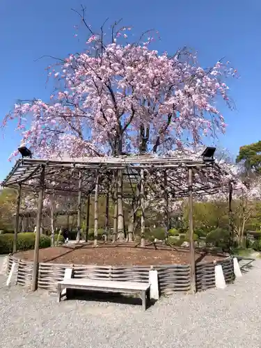 東寺（教王護国寺）の庭園
