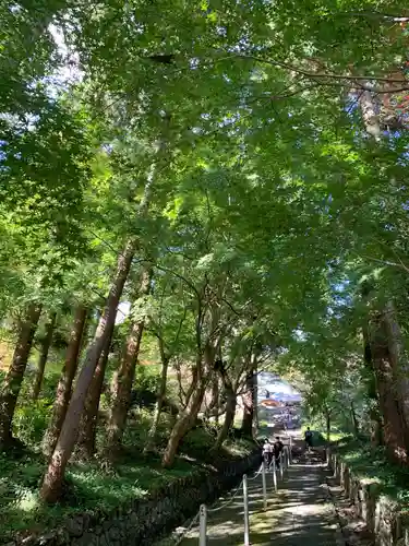 普門寺(切り絵御朱印発祥の寺)の自然